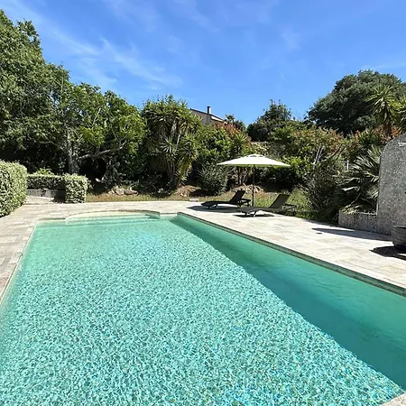 Vakantiehuis T3 Avec Piscine Privee Et Jardin A Porticcio, Pres Des Plages Et De L'aeroport - Fr-1-61-636 Grosseto-Prugna